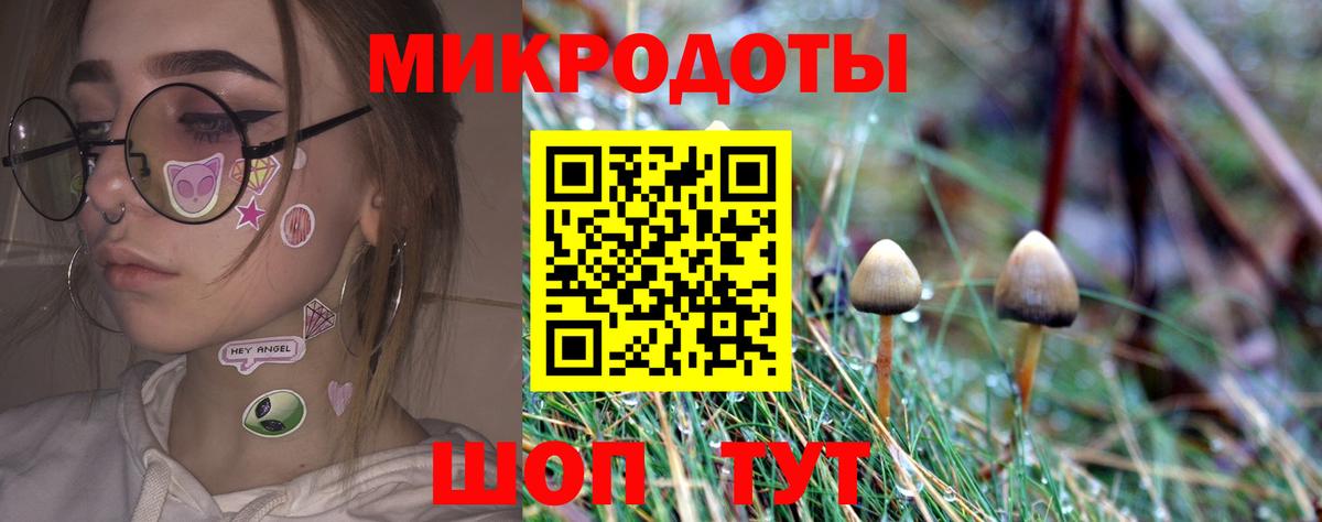 Псилоцибиновые грибы ЛСД Тамбов