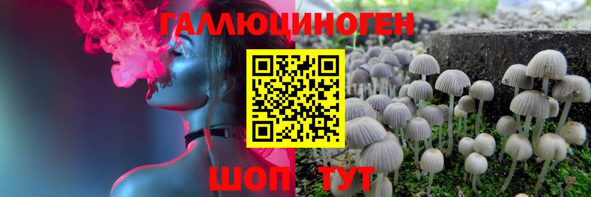 Тамбов  Галлюциногенные грибы прущие грибы  купить наркоту  Вход с VPN 